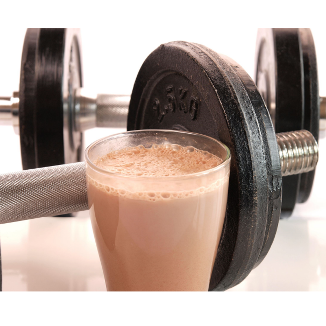 Organic Prebiotic Sprouted Plant Protein Chocolate