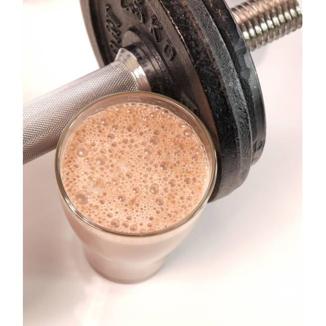 Organic Fermented Probiotic Plant Protein Meal Chocolate