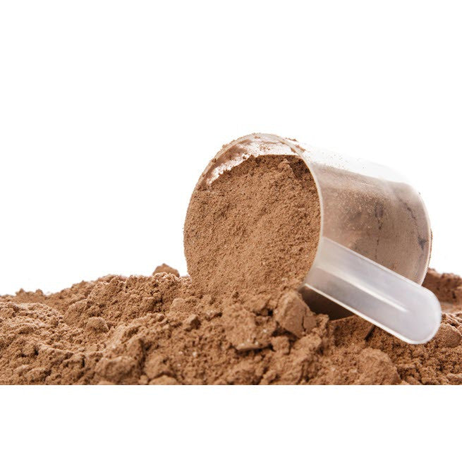 Organic Fermented Probiotic Plant Protein Meal Chocolate