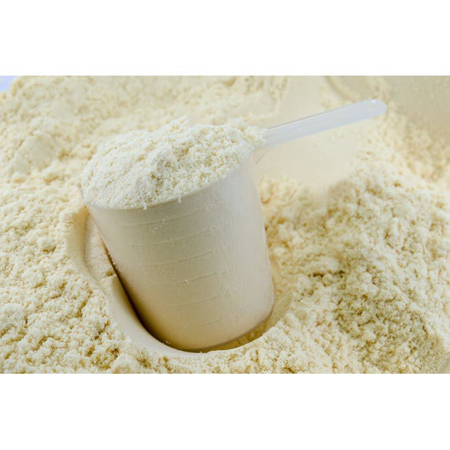 Organic Fermented Probiotic Plant Protein Meal Vanilla
