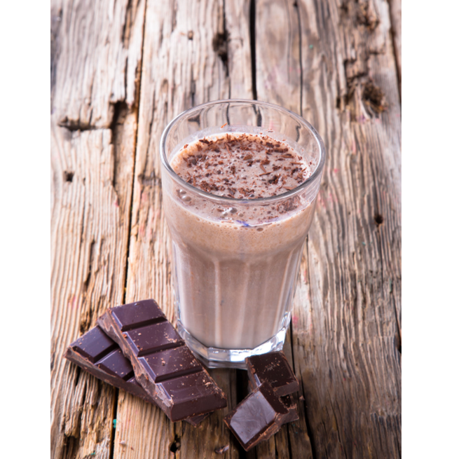 Organic Fermented Probiotic Plant Protein Meal Chocolate